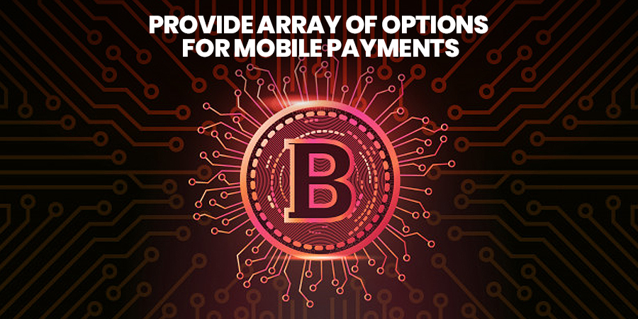 Provide Array Of Options For Mobile Payments